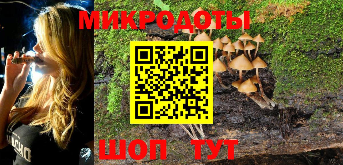 Галлюциногенные грибы MAGIC MUSHROOMS  Вход с VPN  Выкса  Псилоцибиновые грибы MAGIC MUSHROOMS 